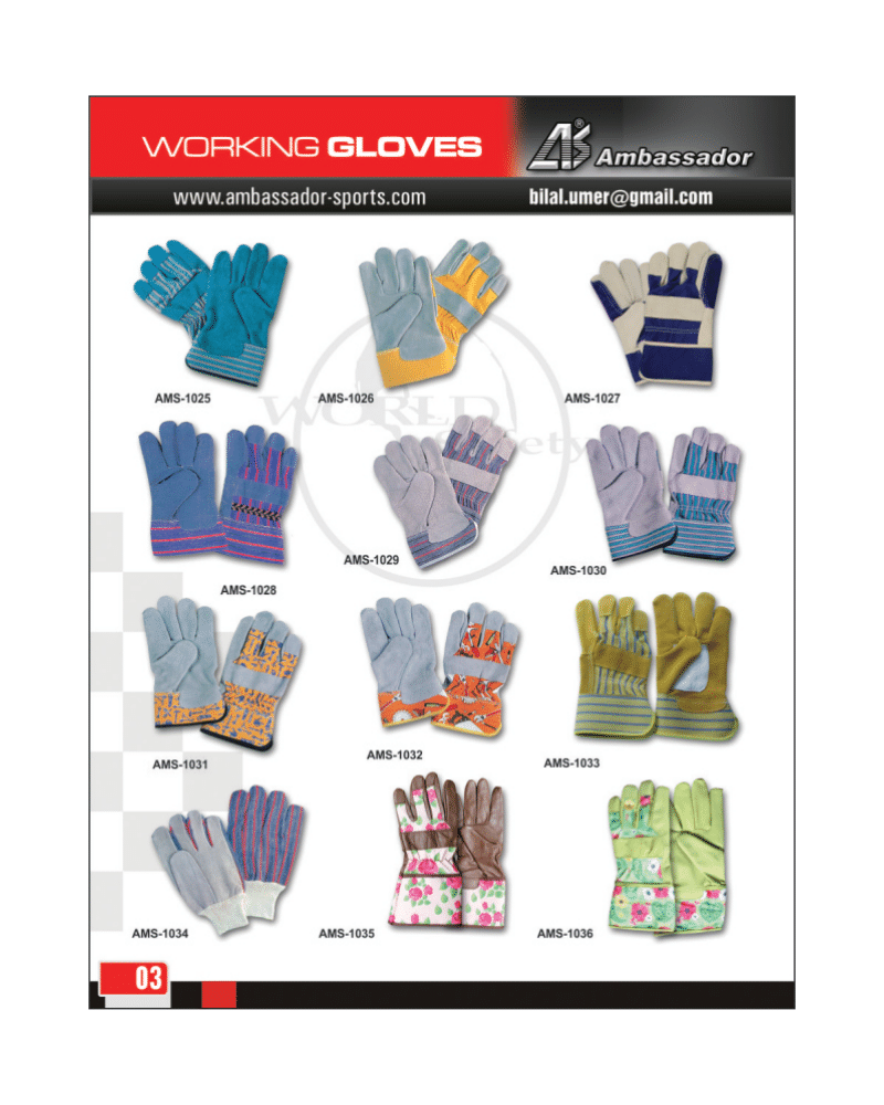AMBASSADOR CATALOGUE-05